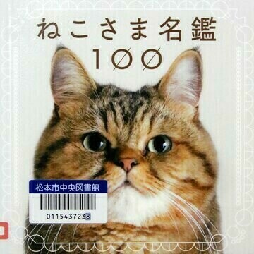 ねこさま名鑑100