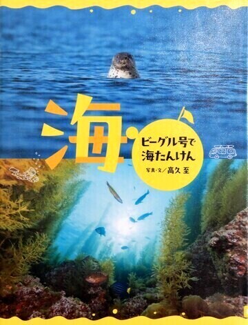 海