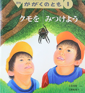 クモをみつけよう