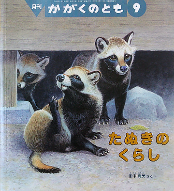 たぬきのくらし