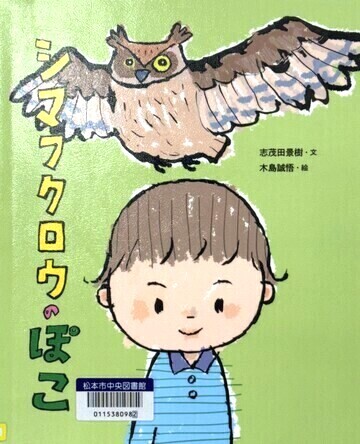 シマフクロウのぽこ