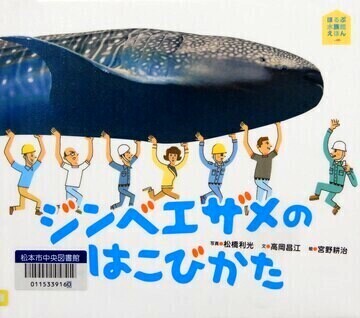 ジンベイザメのはこびかた