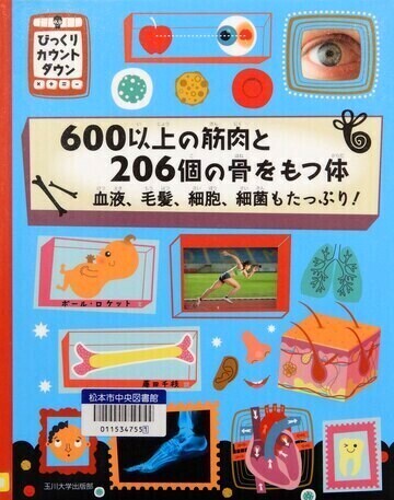 600以上の筋肉と206個の骨をもつ体